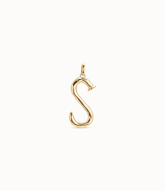 Large S initial charm