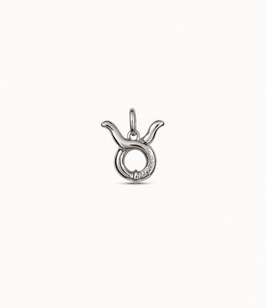 Taurus shaped charm