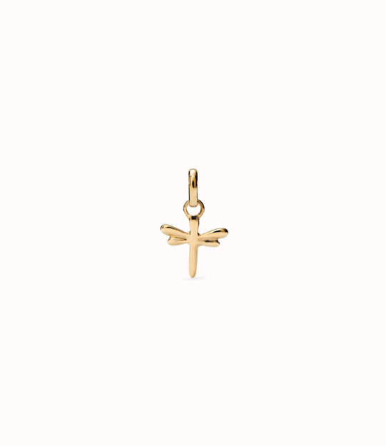 Dragonfly-shaped charm