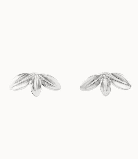 Leaf shaped stud earrings